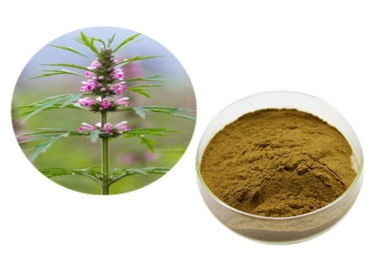 Mua ích mẫu ở đâu tốt?