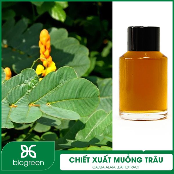 Chiết xuất Muồng trâu Biogreen